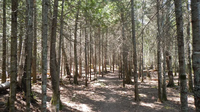 BWCA Campsite #892 Picture 7