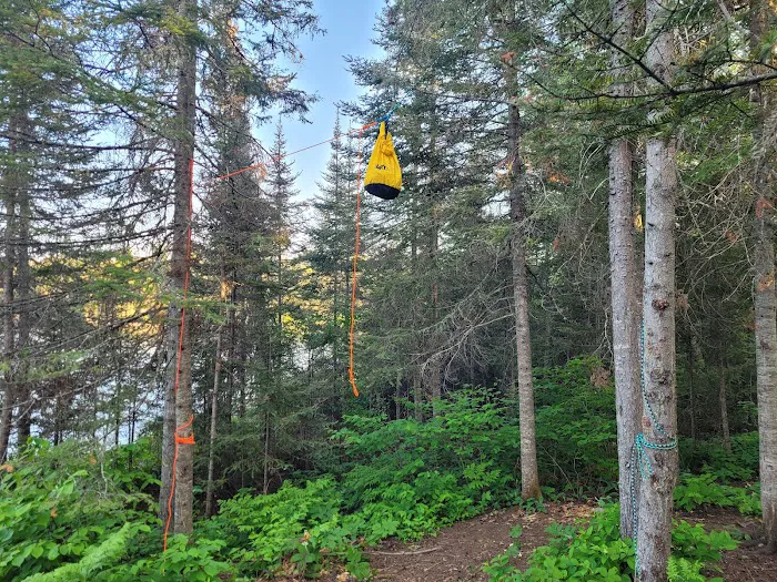 BWCA Campsite #900 Picture 2