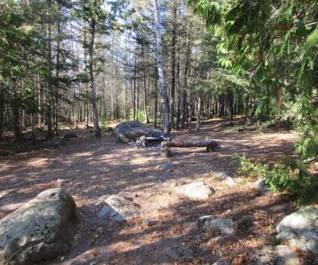 BWCA Campsite #901