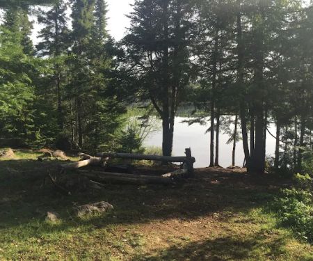 BWCA Campsite #893