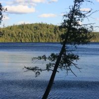 Campsite 971 ico