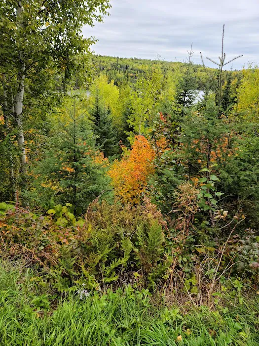 Kimball Lake Campground Picture 4