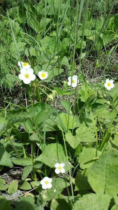 124 E Bearskin Rd Picture 2