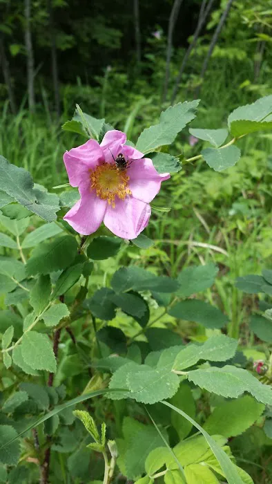 124 E Bearskin Rd Picture 6