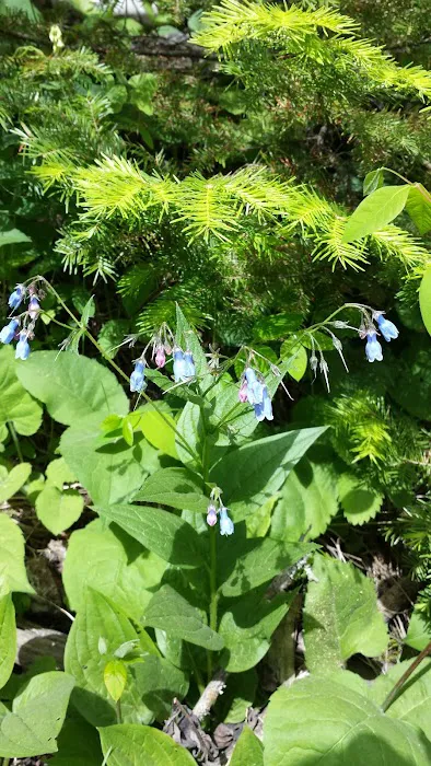 124 E Bearskin Rd Picture 1