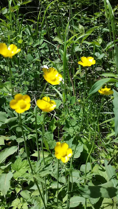 124 E Bearskin Rd Picture 4