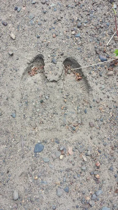 124 E Bearskin Rd Picture 8