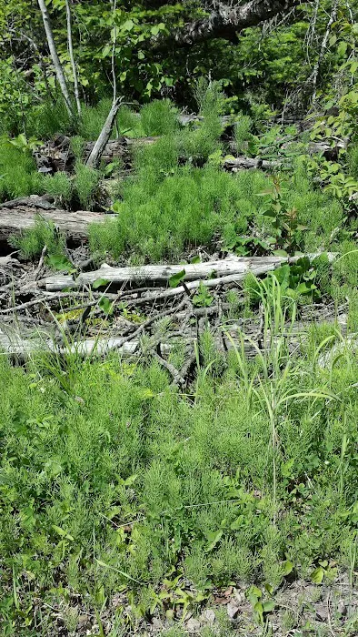 124 E Bearskin Rd Picture 3