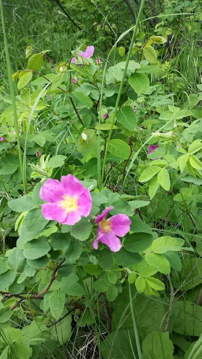 124 E Bearskin Rd Picture 10