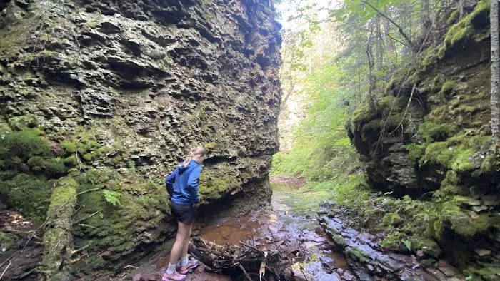 West Fork Kadunce River Camp Picture 4