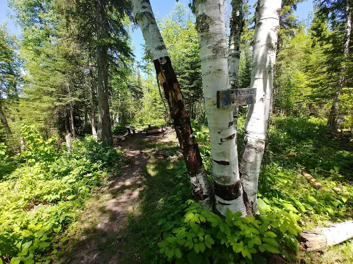 Kadunce River Camp Picture 1