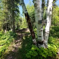 Kadunce River Camp ico