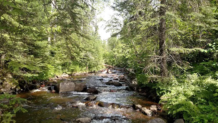 Kadunce River Camp Picture 4