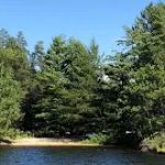 Sandbar Point N37 Campsite