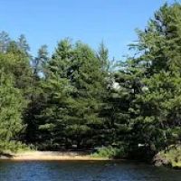 Sandbar Point N37 Campsite ico