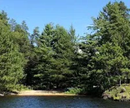 Sandbar Point N37 Campsite