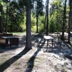 Birch Cove Island N1 Campsite
