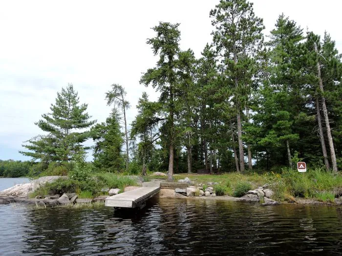 Wolf Island S19 Picture 5