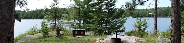 Wolf Island S19 Picture 3