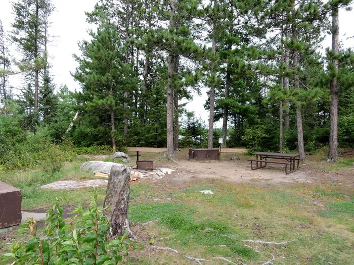 Wolf Island S19 Picture 1