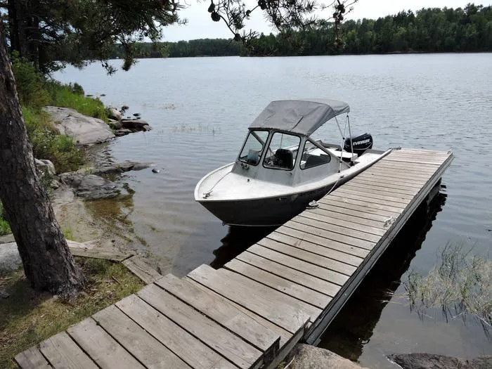 Wolf Island S19 Picture 2