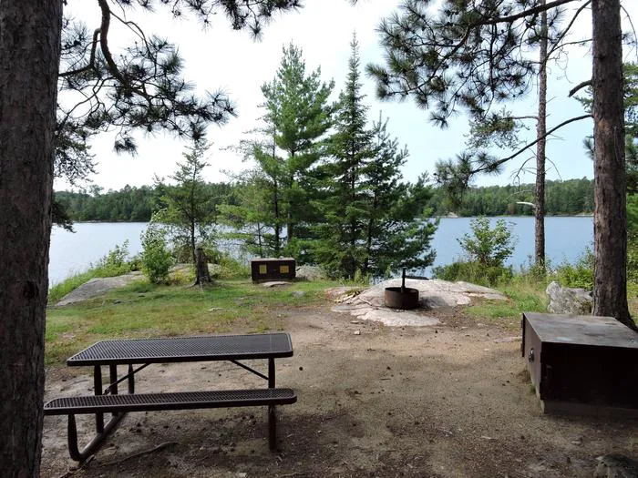 Wolf Island S19 Picture 6