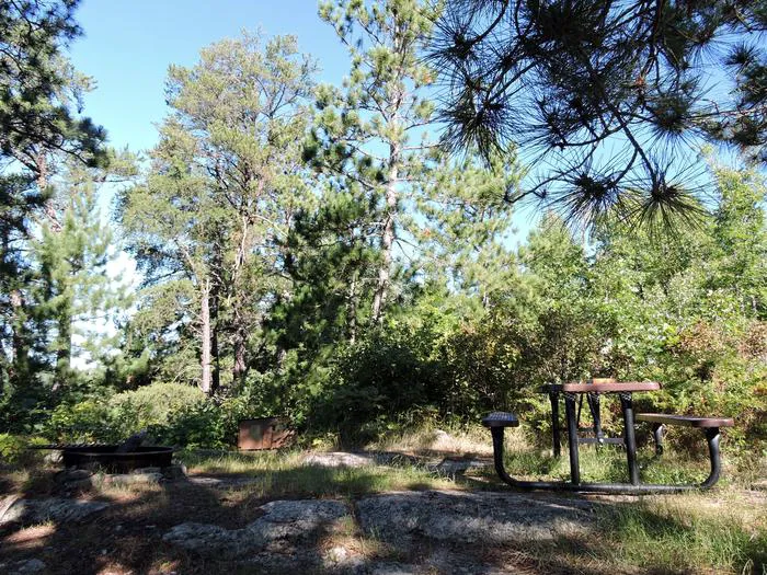 North Island West S13 Campsite Picture 7