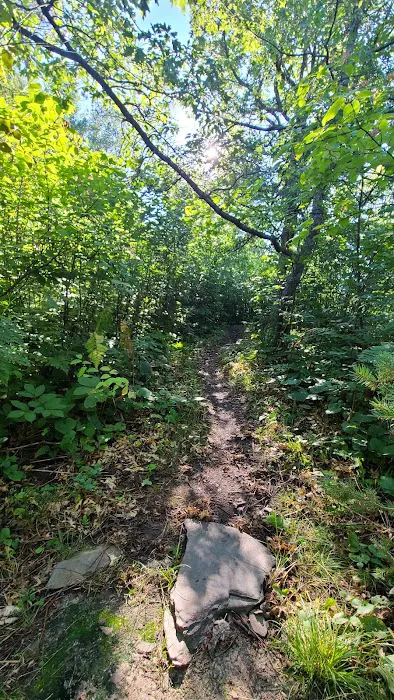 North Island West S13 Campsite Picture 6