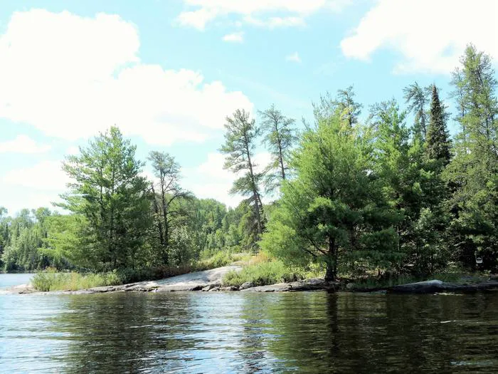 Steakhouse Point N42 Campsite Picture 2