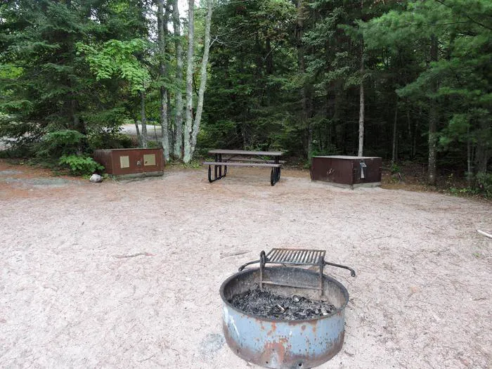 Pike Bay N31 Campsite Picture 2