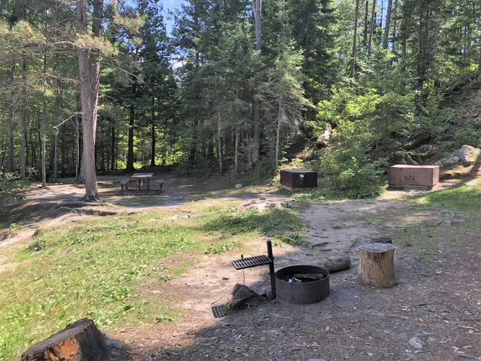 My Island West N25 Campsite Picture 3