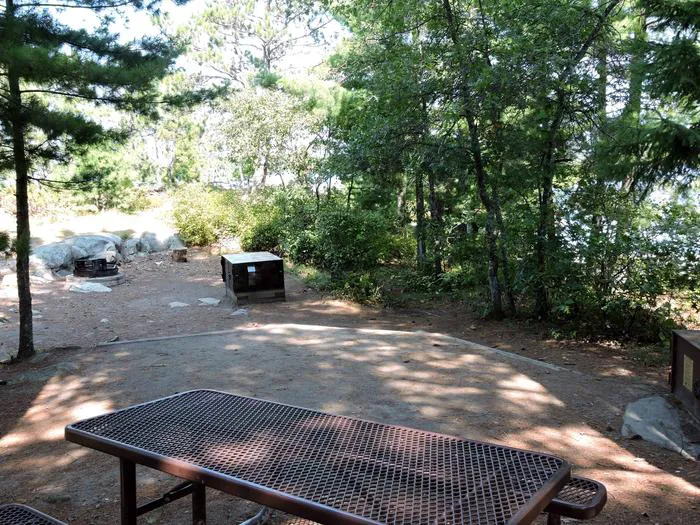 Depthfinder Island N7 Campsite Picture 4