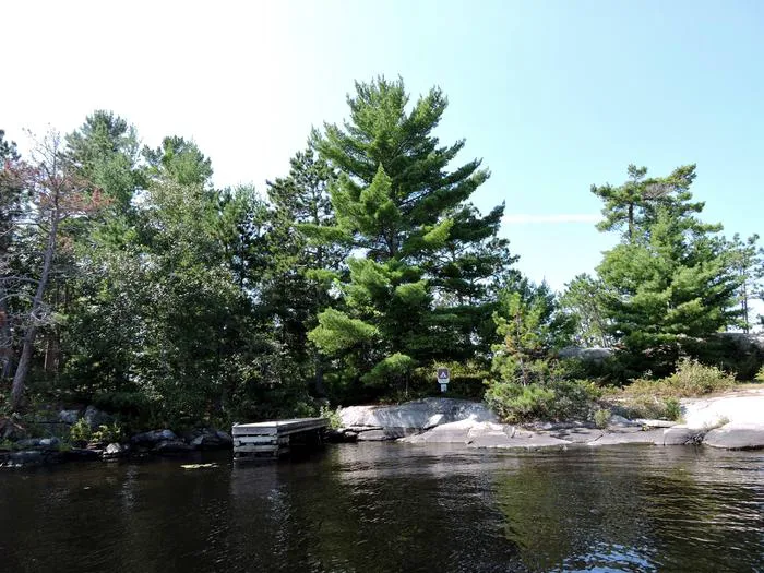 Depthfinder Island N7 Campsite Picture 6