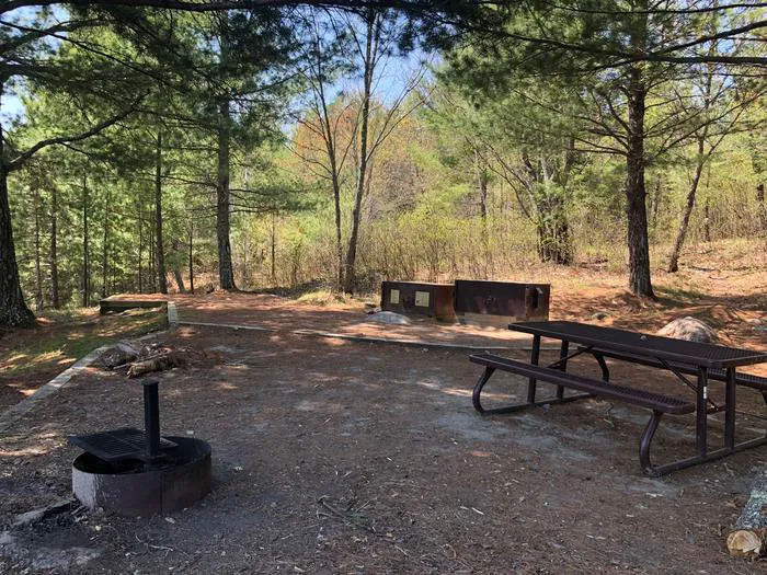 Lost Lake K19 Campsite Picture 3