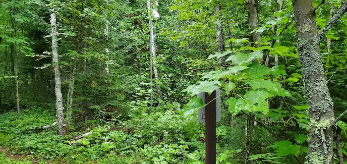 Jorgens Lake Picture 2