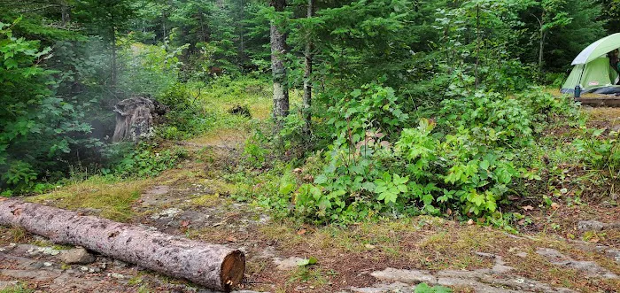 Jorgens Lake Picture 3