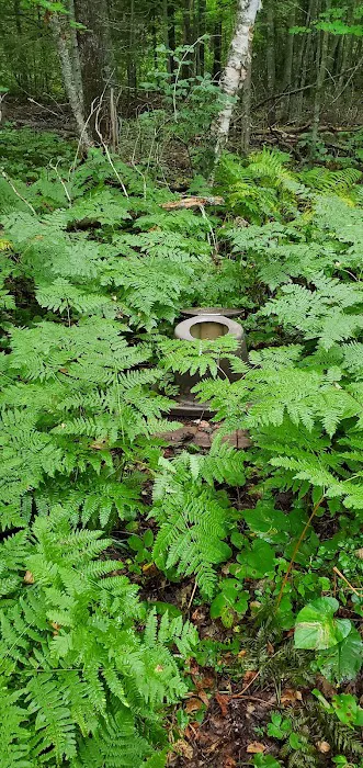 Jorgens Lake Picture 5