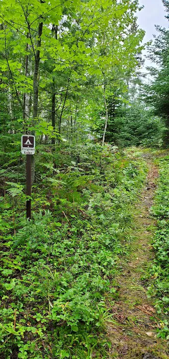 Jorgens Lake Picture 1