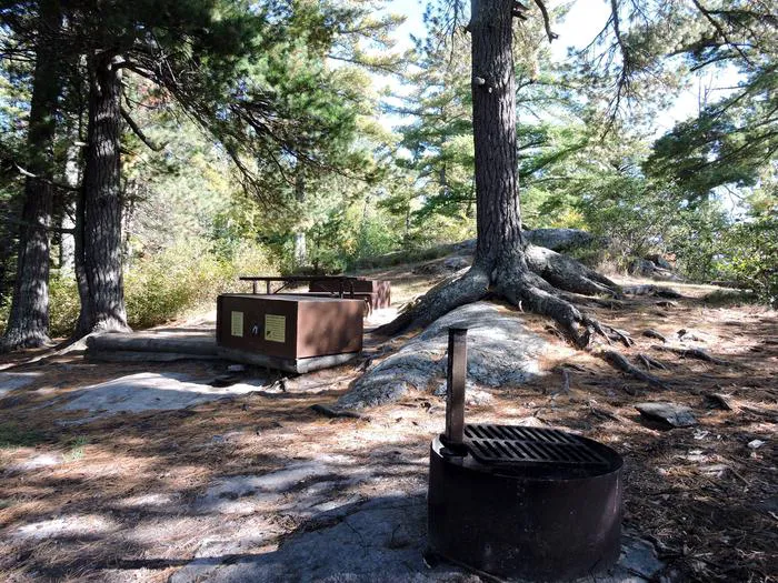 Peterson Point K25 Campsite Picture 2