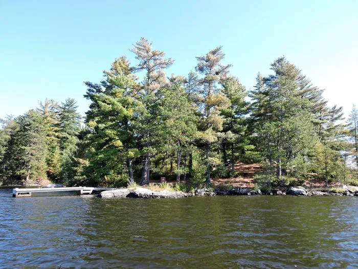 Peterson Point K25 Campsite Picture 4
