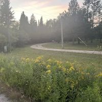 Ash River Campground ico