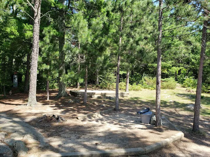 Saginaw Bay Picture 5