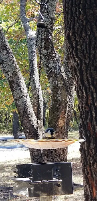 Tall Chief Cove Campground Picture 5