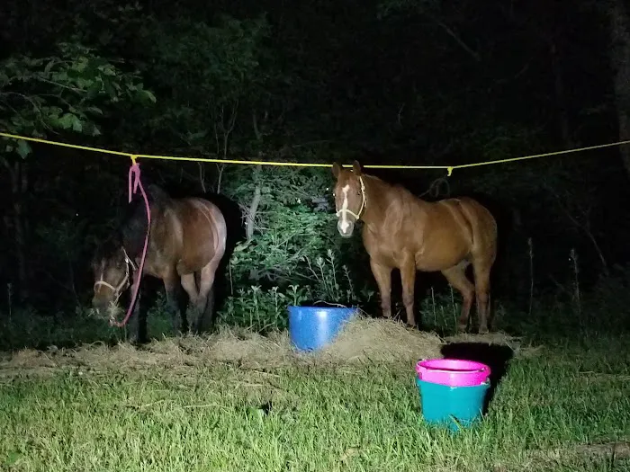 Green Country Cowboy Camp Meeting Picture 6