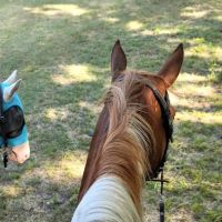 Green Country Cowboy Camp Meeting ico