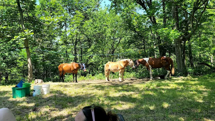 Green Country Cowboy Camp Meeting Picture 2