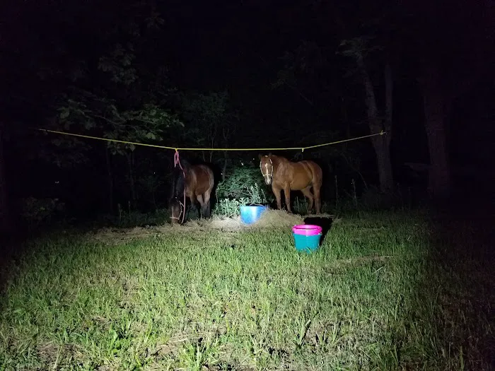 Green Country Cowboy Camp Meeting Picture 3