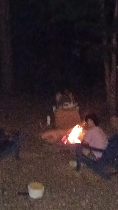 Main cabin Picture 2