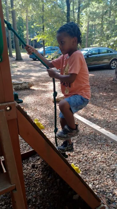 Main cabin Picture 5