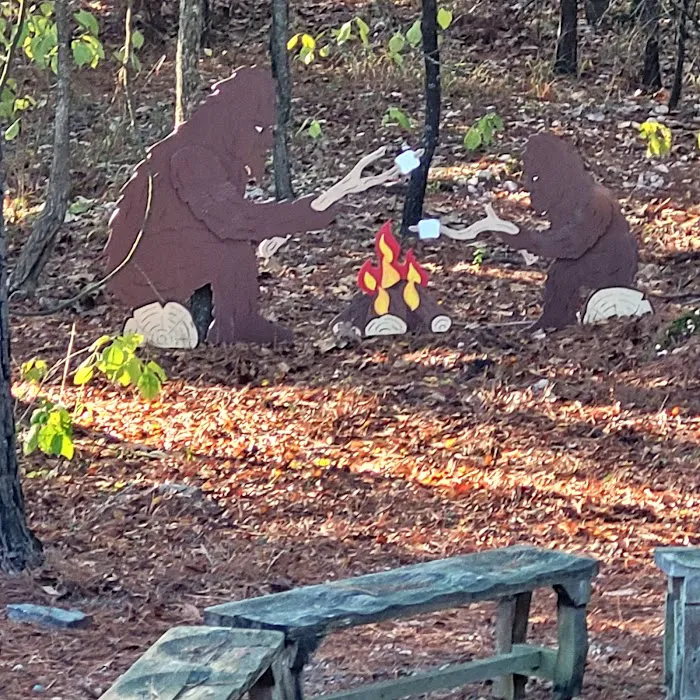 Bucket List Lodge Picture 4
